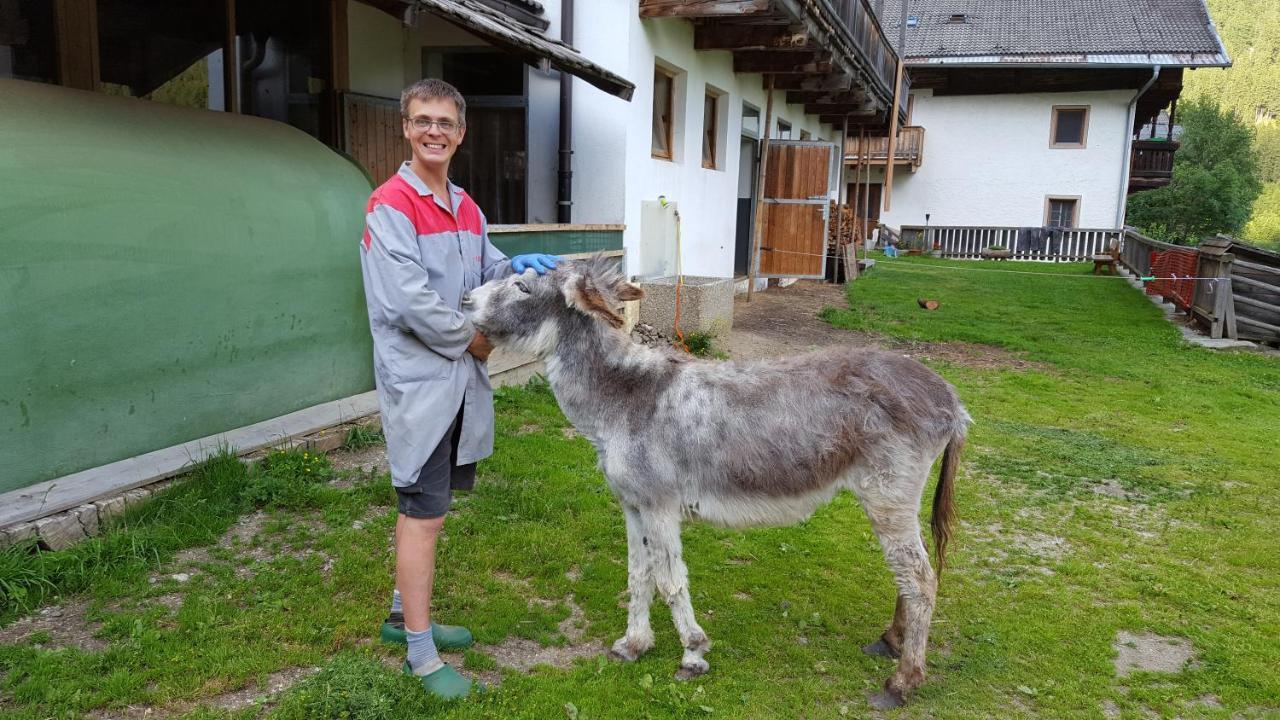 Ausserharmerhof Santa Maddalena in Casies Eksteriør bilde